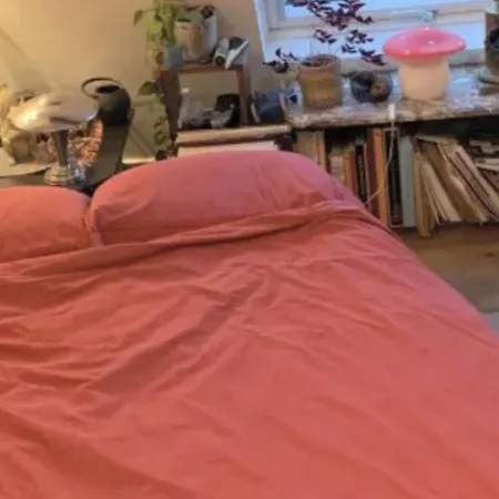 Quarto em Acomodações Particulares Sous Les Toits De Shared Place Paris